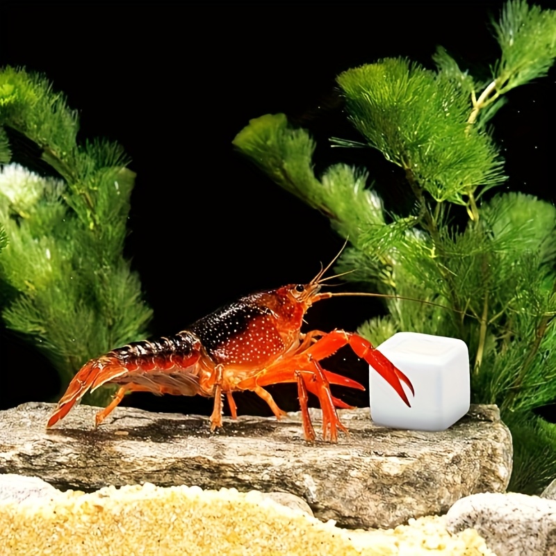 Aquarium Plant Roots - 6 Pcs Fish Tank Calcium Block