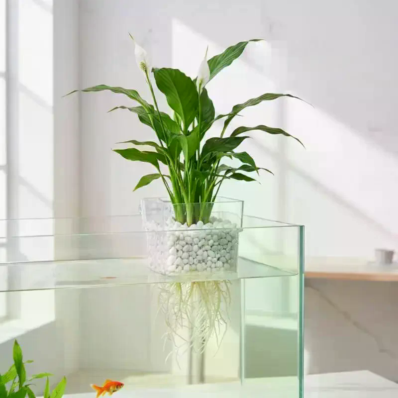 Fish Tank Aquatic Plant Cup 2  - đánh giá và giá Aquarium Plant Roots