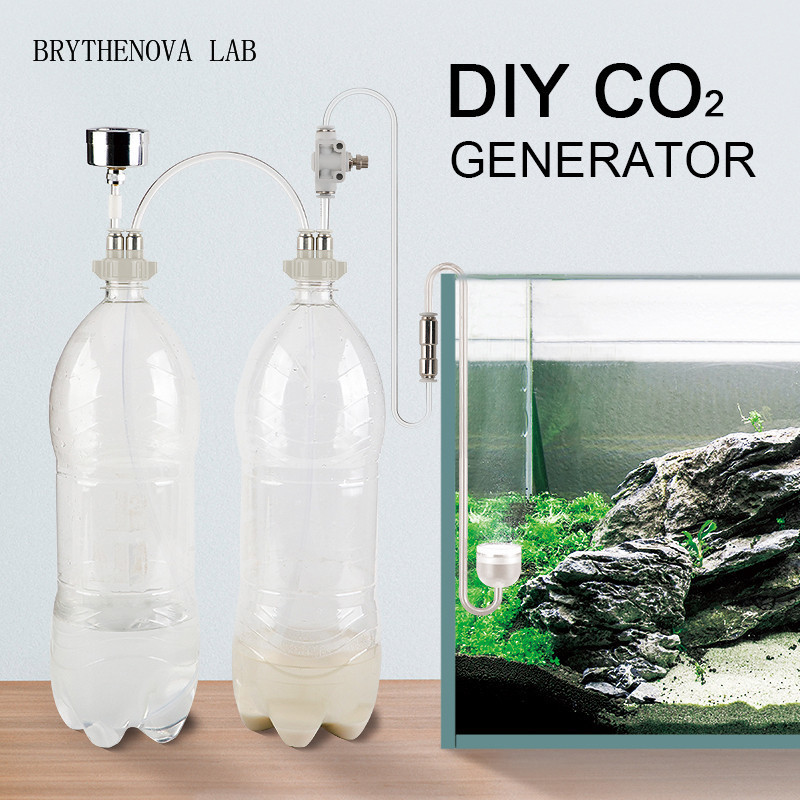 CO2 Generator Aquarium Planted - đánh giá và giá Aquarium Plant Delivery