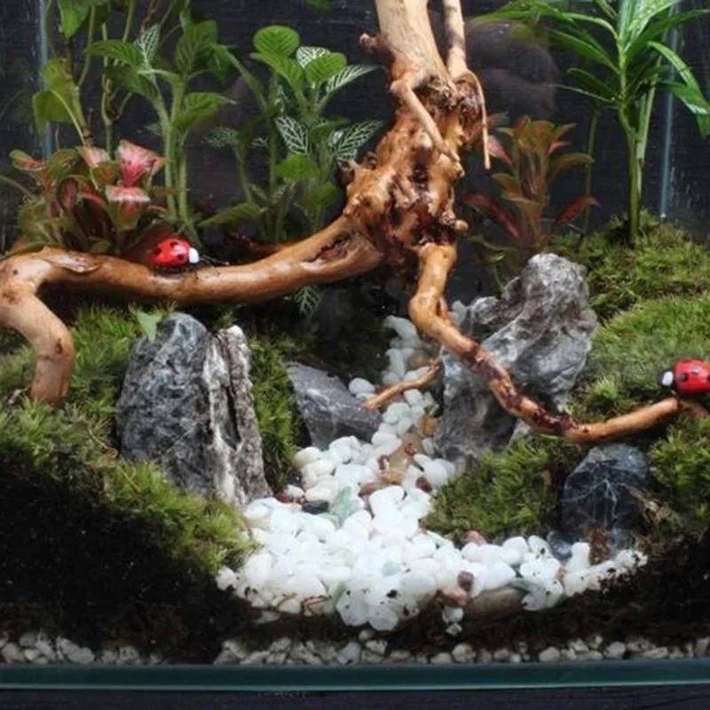 Natural Tree Trunk Driftwood A - đánh giá và giá Aquarium Plant Roots