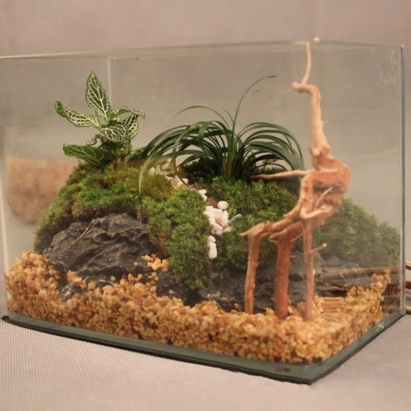 Natural Tree Trunk Driftwood A - đánh giá và giá Aquarium Plant Roots