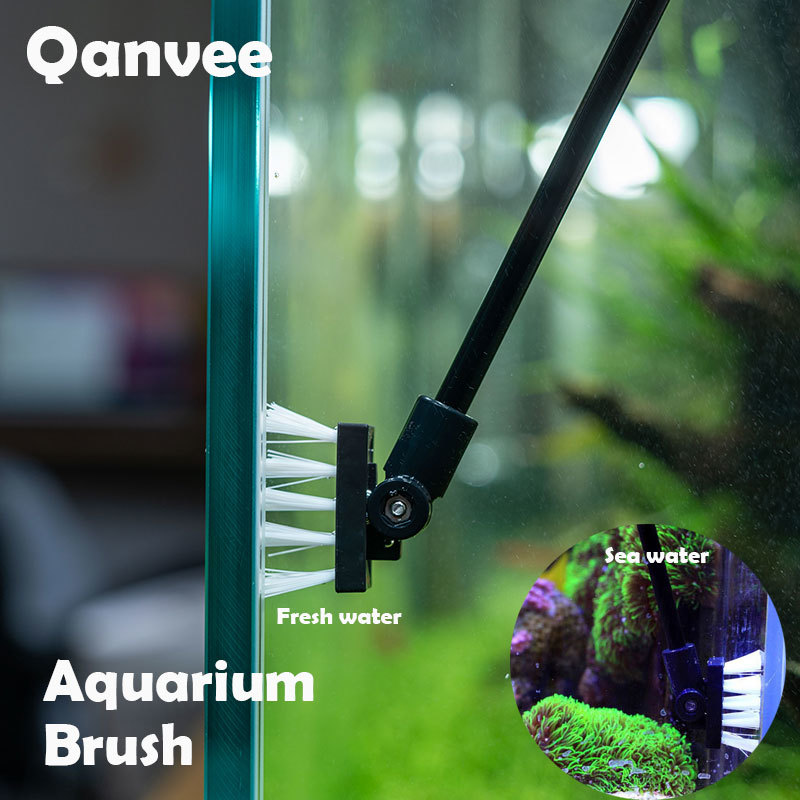 Fishing Cleaning Brush Plant T - đánh giá và giá Planted Aquarium Freshwater