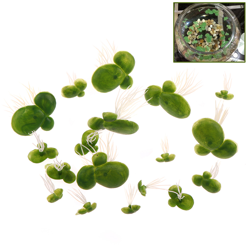 18pcs/set Aquarium Fish Tank D - đánh giá và giá Aquarium Plant Roots