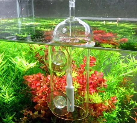 VIV Do Device Aquarium Cylinde - đánh giá và giá Aquarium Plant Delivery