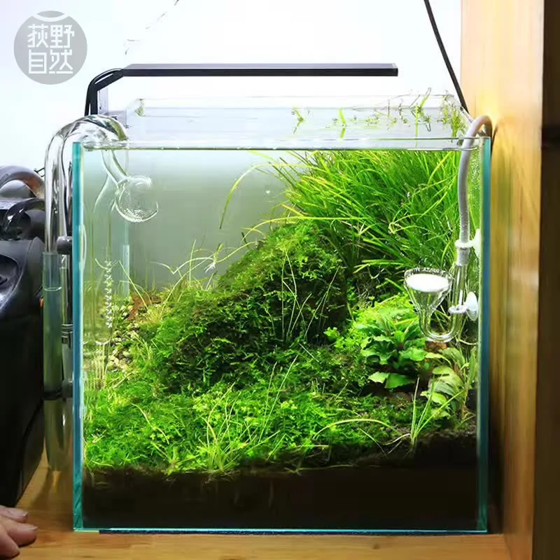 Chihiros C Series ADA Style Pl - đánh giá và giá Planted Aquarium Pendant Light