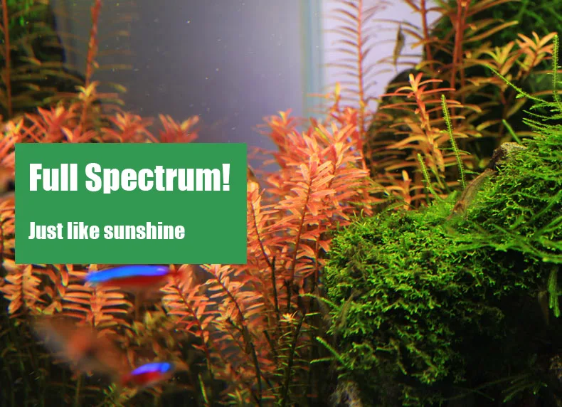 Chihiros C Series ADA Style Pl - đánh giá và giá Planted Aquarium Pendant Light