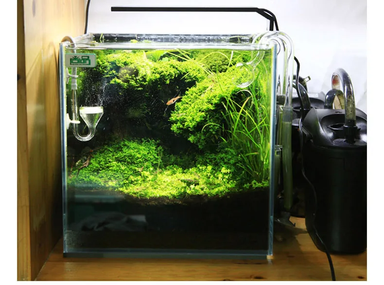 Chihiros C Series ADA Style Pl - đánh giá và giá Planted Aquarium Pendant Light