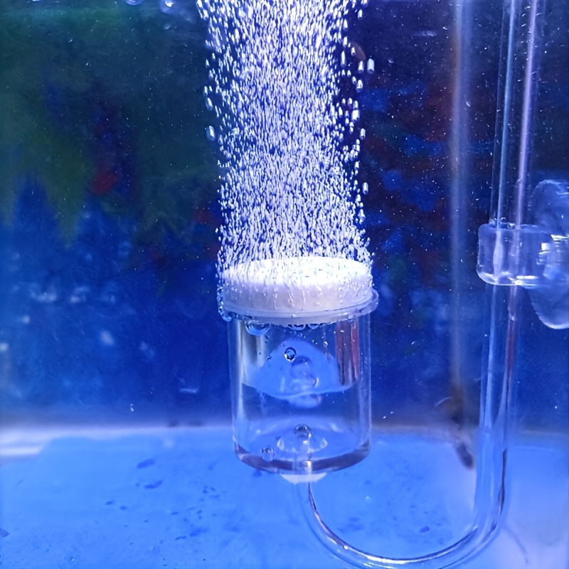 Aquarium Glass CO2 Atomizer Di - đánh giá và giá Aquarium Plant Delivery