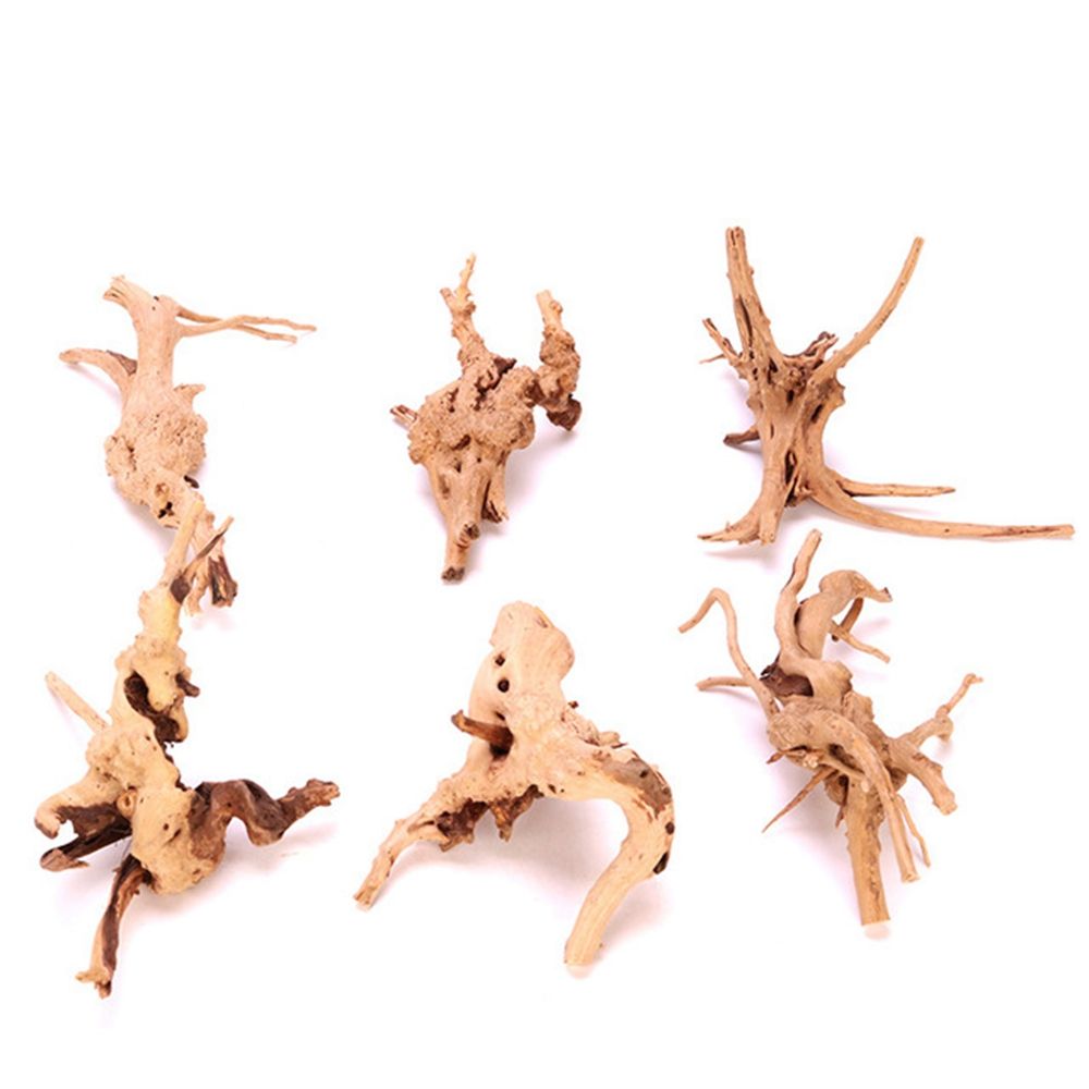 1 Pcs Wood Reptile Fish Tank O - đánh giá và giá Aquarium Plant Roots