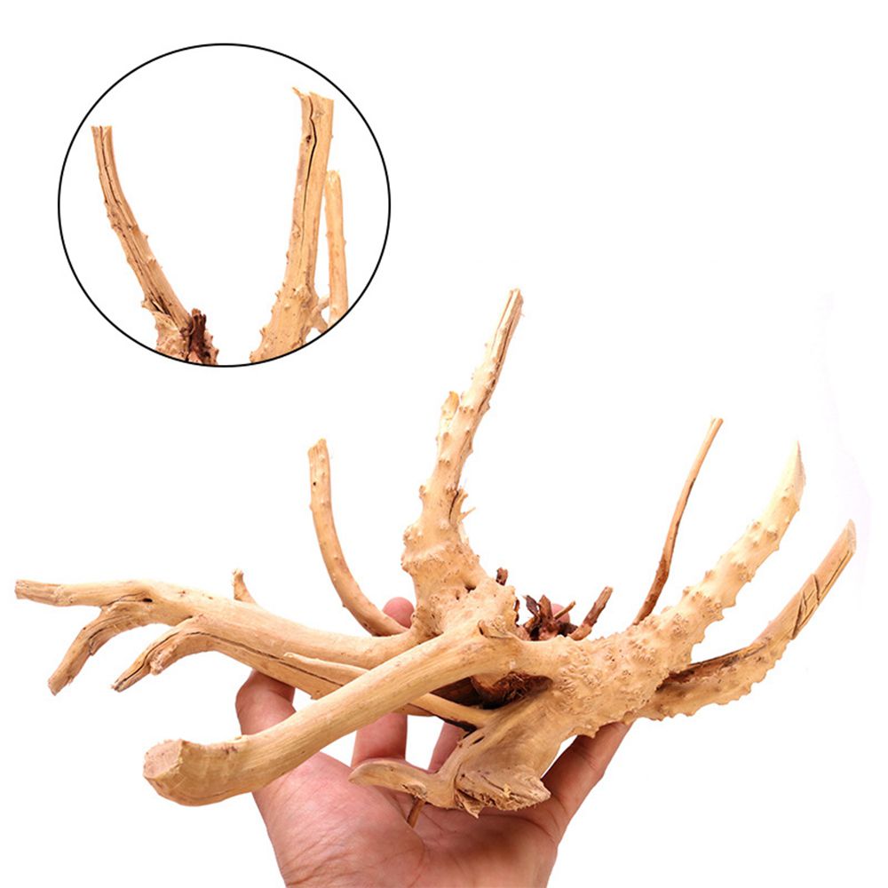 1 Pcs Wood Reptile Fish Tank O - đánh giá và giá Aquarium Plant Roots