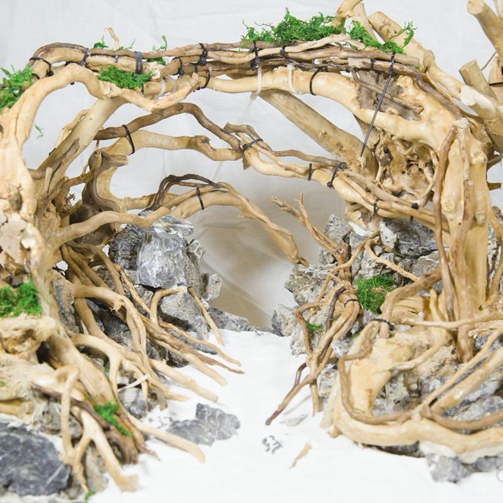 1 Pcs Wood Reptile Fish Tank O - đánh giá và giá Aquarium Plant Roots