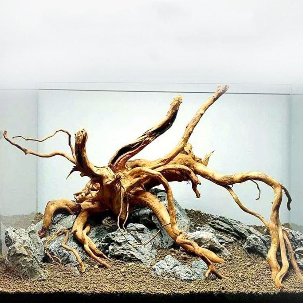 Natural Tree Trunk Aquarium De - đánh giá và giá Aquarium Plant Roots