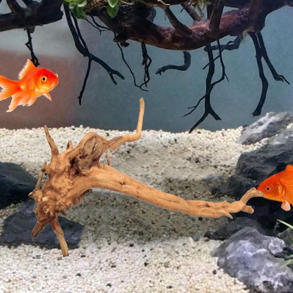 Natural Tree Trunk Aquarium De - đánh giá và giá Aquarium Plant Roots