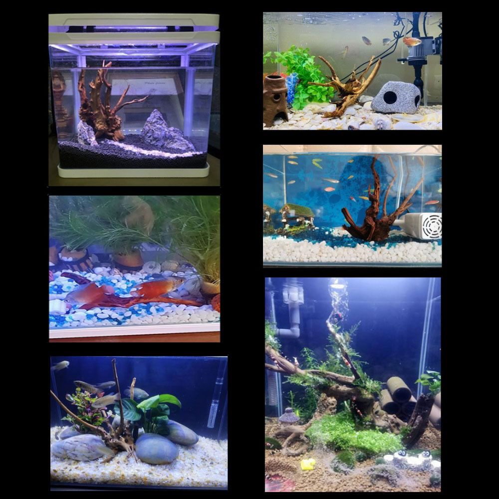 Natural Tree Trunk Aquarium De - đánh giá và giá Aquarium Plant Roots