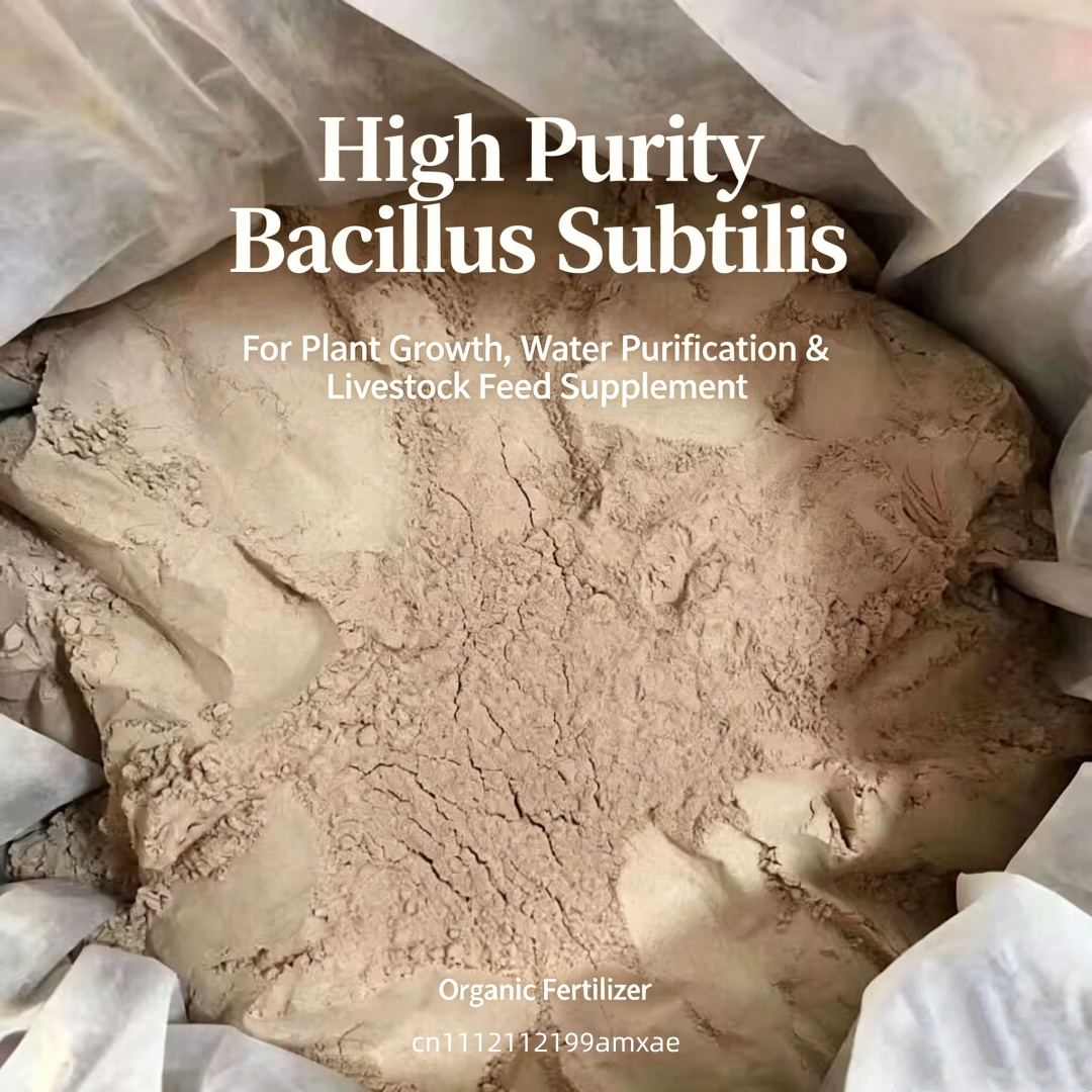 High Activity Bacillus Subtili - đánh giá và giá Aquarium Plant Roots