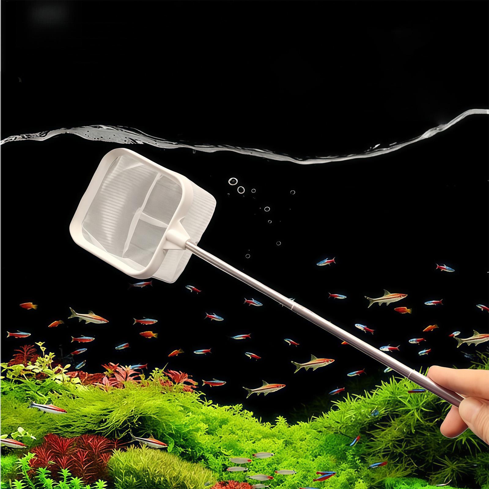 Extendable Long Handle Fine Me - đánh giá và giá Aquarium Plant Roots