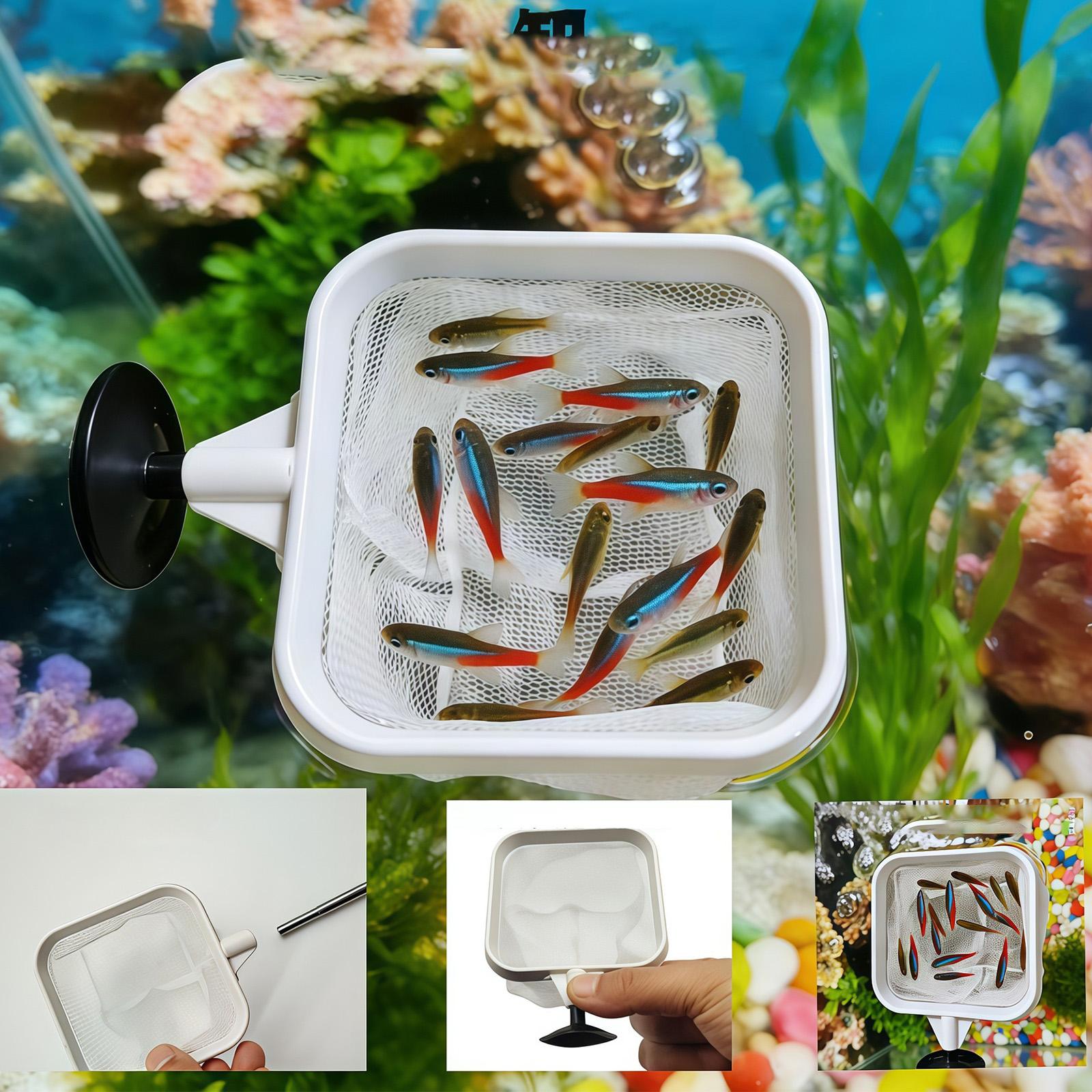 Extendable Long Handle Fine Me - đánh giá và giá Aquarium Plant Roots