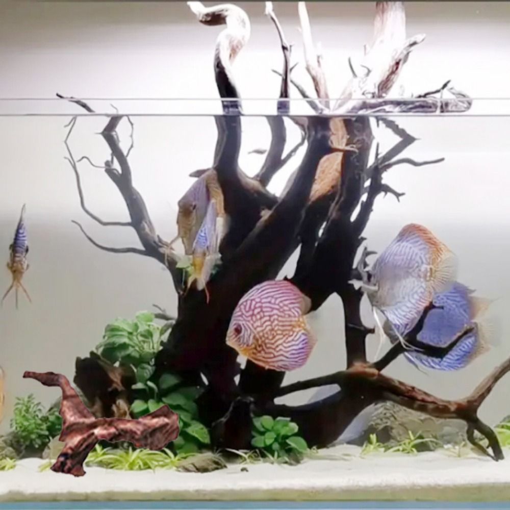 Creative Irregular Shape Coral - đánh giá và giá Aquarium Plant Roots