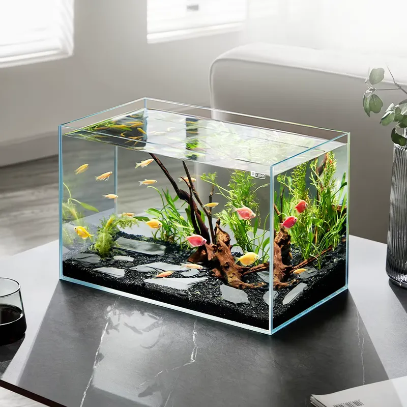 YEE Factory Wholesale ultra cl - đánh giá và giá Aquarium Plant Factory