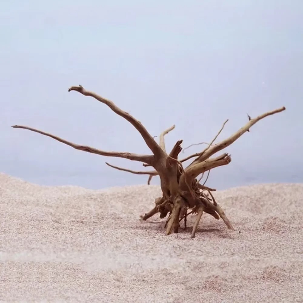 （15-20cm） Natural Driftwood Aq - đánh giá và giá Aquarium Planted Wood