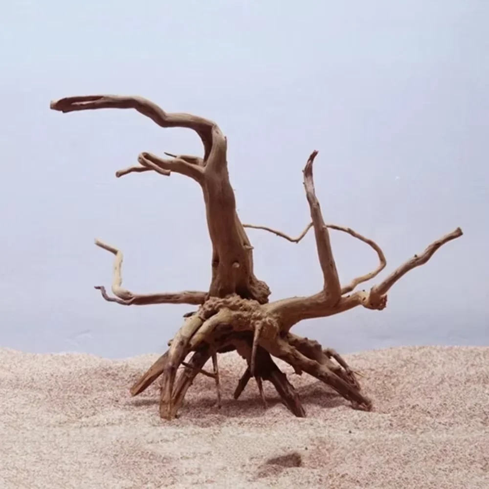 （15-20cm） Natural Driftwood Aq - đánh giá và giá Aquarium Planted Wood