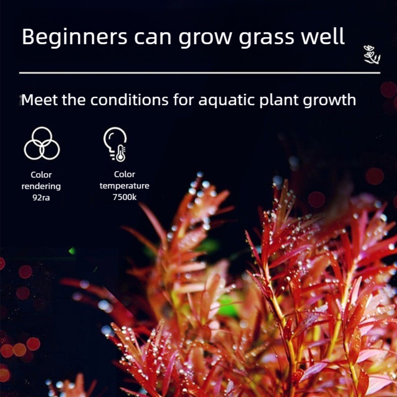 LED Aquarium Light for 12 Inch - đánh giá và giá Planted Aquarium Freshwater