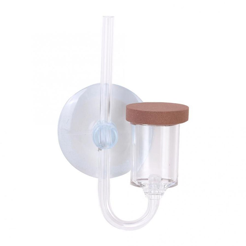 Acrylic Mini Fish Tank Live Pl - đánh giá và giá Aquarium Plant Delivery