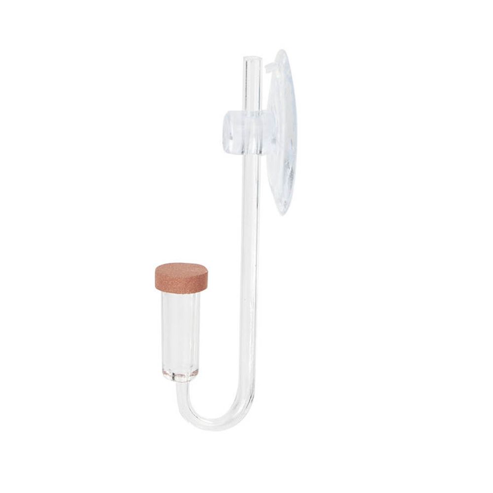 Acrylic Mini Fish Tank Live Pl - đánh giá và giá Aquarium Plant Delivery