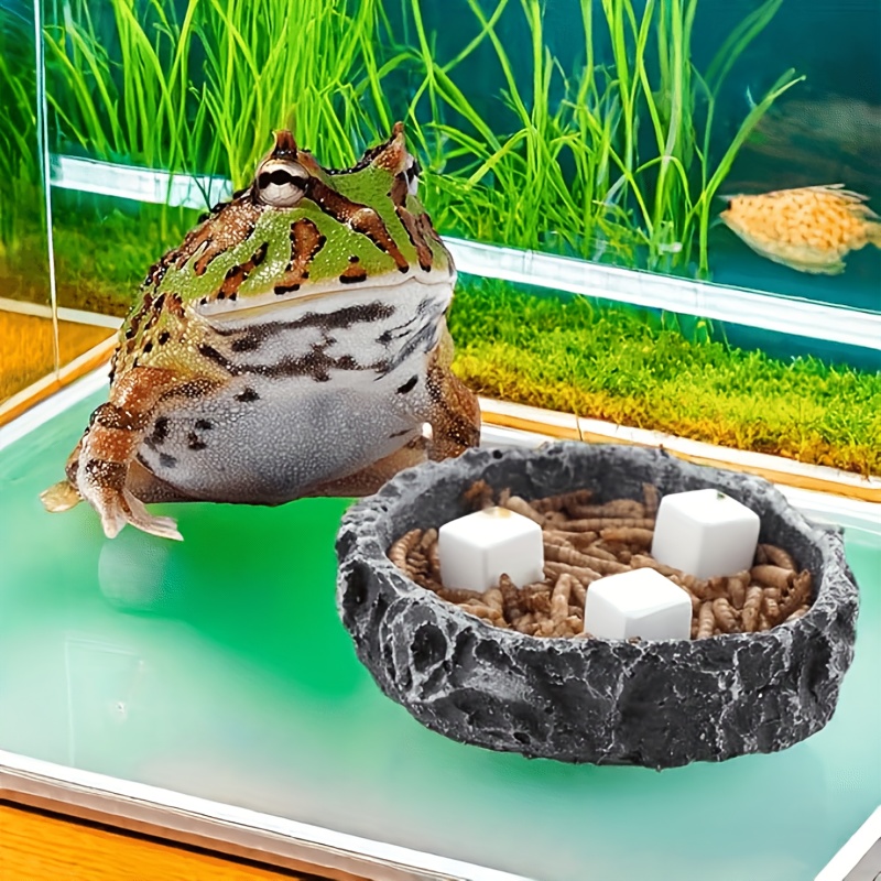 6 Pcs Fish Tank Calcium Block  - đánh giá và giá Aquarium Plant Roots